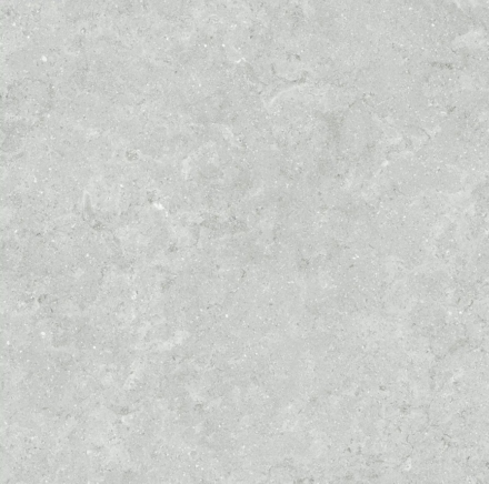 Porcelain AN Coliseo Platinum Matte (see sizes available)