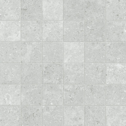 Porcelain AN Coliseo Platinum Matte 2×2